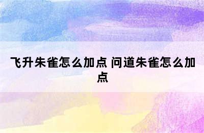 飞升朱雀怎么加点 问道朱雀怎么加点